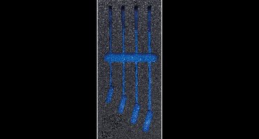 BGS werkplaatswageninzetstuk 1/3 leeg voor Art. 4083 - 4083-1