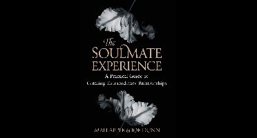The Soulmate Experience