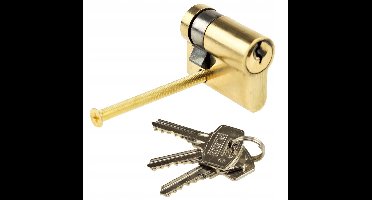 Cilinder 30x9 mm voor Kastelsloten, messing, 3 sleutels