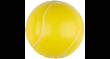 Eddy Toys Paddleball Set 4 Stuks - Strand Spel met 2 Rackets en 2 Ballen - Paddleball Rackets met Ballen - Buitenspeelgoed voor Kinderen - Kunststof