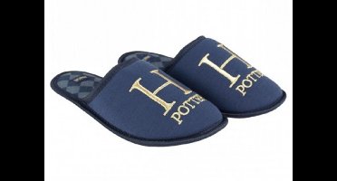 Harry Potter Instap Sloffen Volwassenen - Maat 36/37 - Instappers - Huissloffen