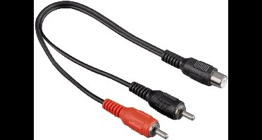 Adapter 2 RCA-stekkers - RCA-aansluitingen