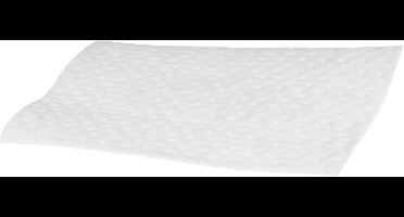 Bosch Filter Uitblaasfilter BGN2B112, BGN21800, VSZ2NB100 00633485