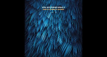 Jean-Christophe Renault - Under Troubled Waters (LP)