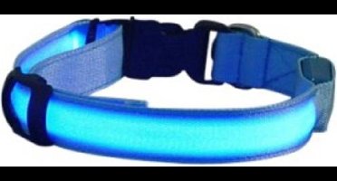 New Age Devi - LED-Halsband voor Honden - Blauw Licht
