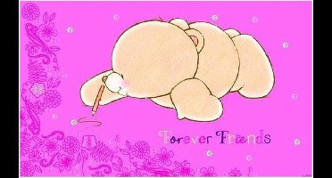 Forever Friends Schooletui 3