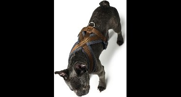 Hondentuigje Hunter London Comfort XS-S 39-47 cm Bruin