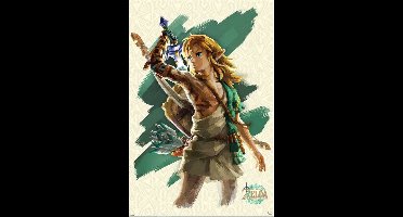 The Legend of Zelda Link Unleashed Poster 61x91.5cm