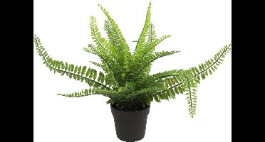 Countryfield Kunstplant Varen Monilophyta plant in bloempot - Groen - 25 x 36 cm
