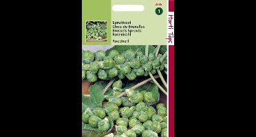 Hortitops Zaden - Spruitkool Roodnerf