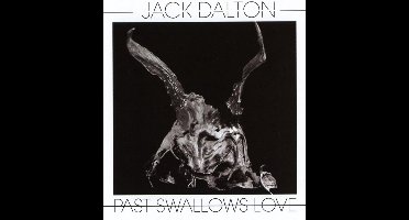 Past Swallows Love