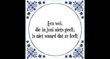 Tegeltje met Spreuk (Tegeltjeswijsheid): Een wei, die in juni niets geeft, is niet waard dat ze leeft + Kado verpakking & Plakhanger