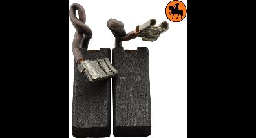 Koolborstelset voor Black & Decker 5098A - 6x10x24mm