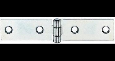 BSW  lintscharnier 100 x 20 mm  5087-gv