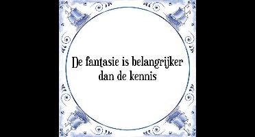 Tegeltje met Spreuk (Tegeltjeswijsheid): De fantasie is belangrijker dan de kennis + Kado verpakking & Plakhanger