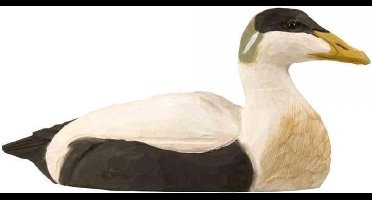 Houten vogel - eidereend