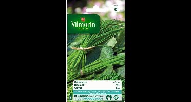 Bieslook Fijne - Allium schoenoprasum
