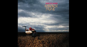 A Broken Frame