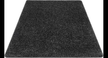 Hamat Karpet Topper Zwart - 160x240 cm