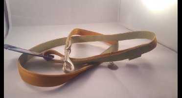 MacLeather lijn groen 2x120cm