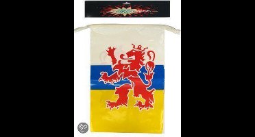 Vlaggenlijn rechthoekig limburg 10m