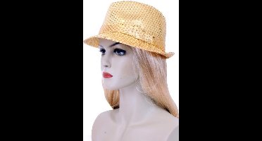 Deukhoedje pailletten goud met lichtjes