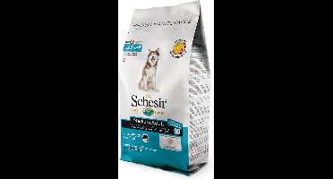 Schesir droogvoer medium - 3 KG