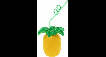 Ananas Beker met Rietje
