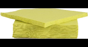 Cosy&Trendy For Professionals Servet - Papier - 38 cm - Groen - Set-40