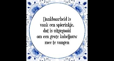 Tegeltje met Spreuk (Tegeltjeswijsheid): Dankbaarheid is vaak een spierinkje, dat is uitgegooid om een grote kabeljauw mee te vangen + Kado verpakking & Plakhanger