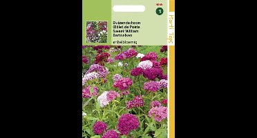 Hortitops Zaden - Dianthus Barbatus Enkelbloemig Gemengd