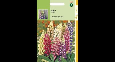 Hortitops Zaden - Lupinus Polyphyllus Russell'S Hybr. Gemengd