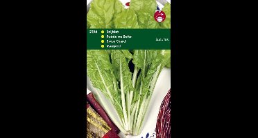 Hortitops Zaden - Snijbiet Lucullus 20 Gram