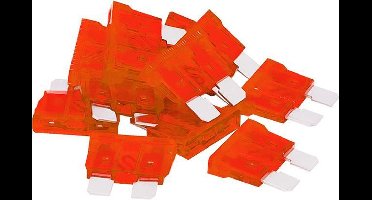 steekzekering 10A - 10 stuks