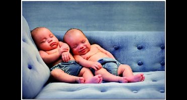 Legpuzzel - 500 stukjes - Amos & Noah, Racheal Hale - Puzzel Educa