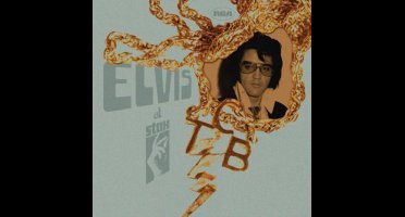 Elvis At Stax