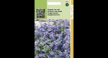 Hortitops Zaden - Myosotis Alpestris Blauw