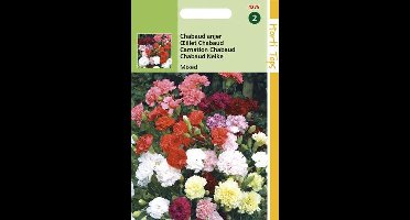 Hortitops Zaden - Dianthus Caryophyllus Chabaud Gemengd