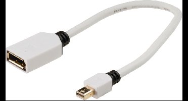 Konig Mini DisplayPort naar DisplayPort adapter - 0,20 meter