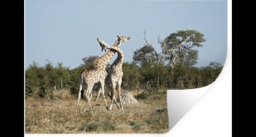 Muurstickers - Sticker Folie - Twee giraffen op de steppe - 30x20 cm - Plakfolie - Muurstickers Kinderkamer - Zelfklevend Behang - Zelfklevend behangpapier - Stickerfolie