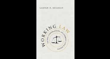 Working Law - Courts, Corporations, and Symbolic Civil Rights