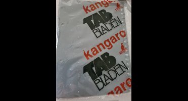 Kangaro Tabbladen A5 Grijs 20 tabs 2-gaats polypropyleen a - z