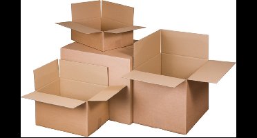 Raadhuis verzenddoos - 430x305x250mm - 10 stuks - RD-351128-10