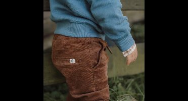 Little Dutch Lange broek - Maat 74 - Legging Jongens - Brown, Bruin - Little Farm