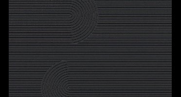 MD Entree - Design mat - Universal - Zen Anthra - Vloerkleed - Antislip - Machine wasbaar - 67 x 120 cm