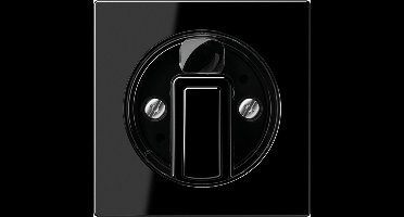 Jung Bedieningselement/Centrale Plaat Schakelmateriaal - A1541SW - E34Z7