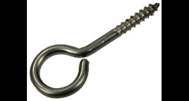 RVS Schroefoog 2 stuks 5,0 x 40 mm. lang. Sam.
