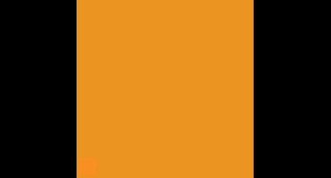 Kopieerpapier fastprint-100 a4 80gr goudgeel