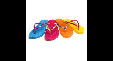 Zebra Slippers Color Soft Adults Blauw 36/37