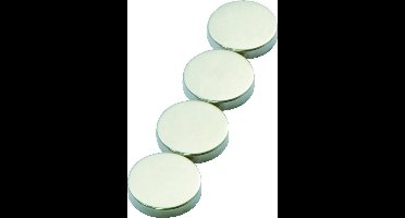 Krachtmagneten 30mm 4 stuks zilver